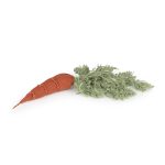 Oli&Carol Cathy the Carrot Направи сам играчка - Image 4